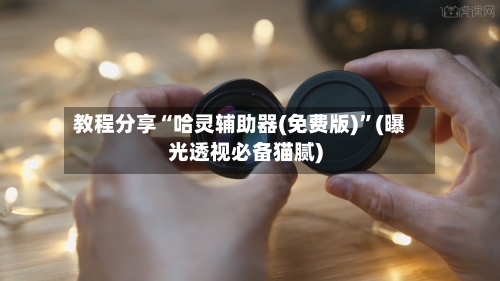教程分享“哈灵辅助器(免费版)”(曝光透视必备猫腻)-第2张图片