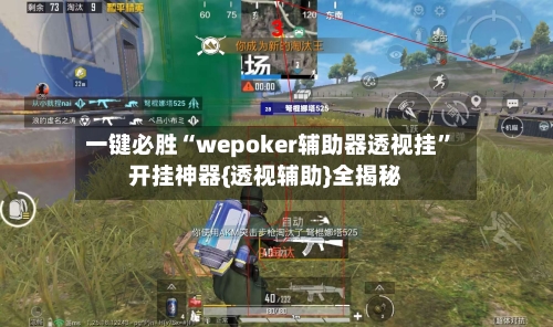 一键必胜“wepoker辅助器透视挂”开挂神器{透视辅助}全揭秘-第2张图片