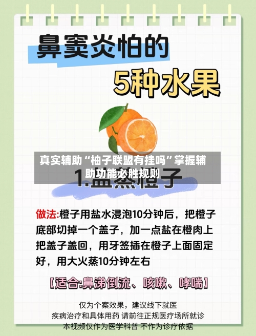 真实辅助“柚子联盟有挂吗”掌握辅助功能必胜规则-第3张图片