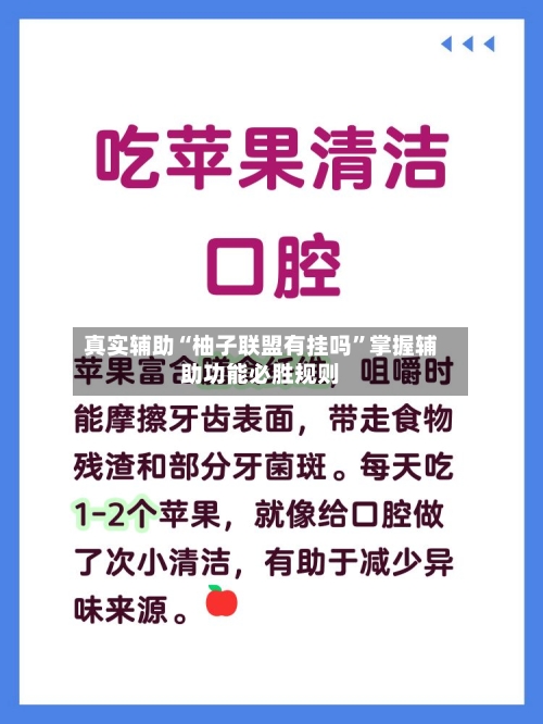 真实辅助“柚子联盟有挂吗”掌握辅助功能必胜规则-第2张图片