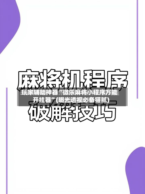 玩家辅助神器“微乐麻将小程序万能开挂器”(曝光透视必备猫腻)-第2张图片