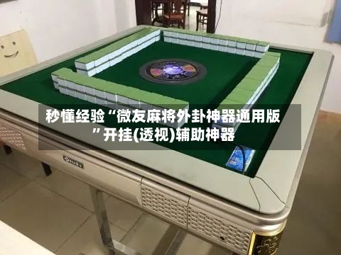 秒懂经验“微友麻将外卦神器通用版”开挂(透视)辅助神器-第3张图片