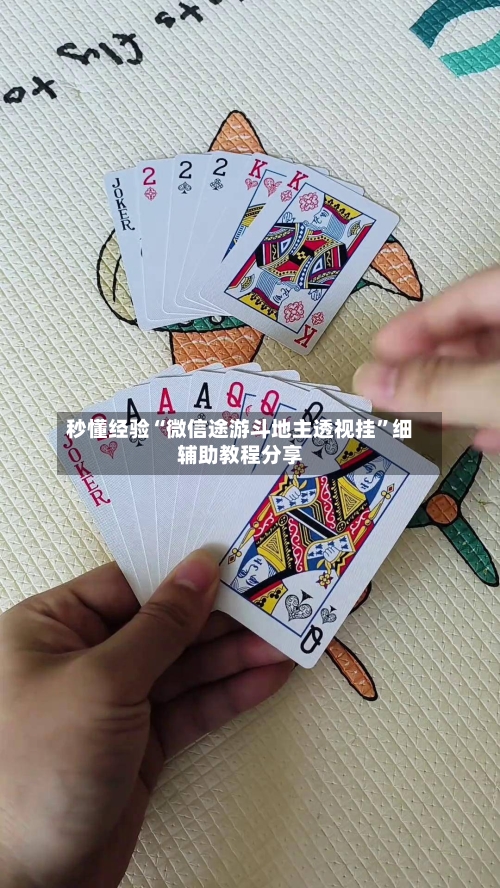 秒懂经验“微信途游斗地主透视挂”细辅助教程分享-第3张图片