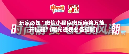 玩家必知“微信小程序微乐麻将万能开挂器	”(曝光透视必备猫腻)-第2张图片