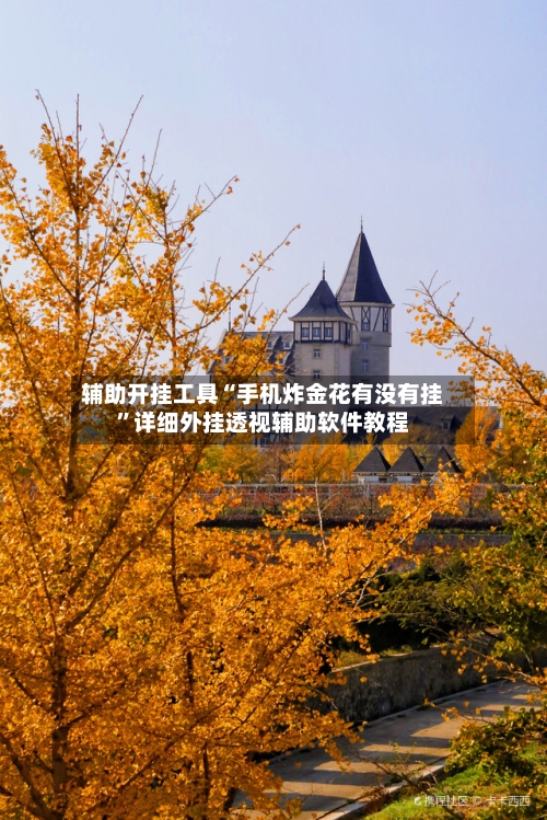 辅助开挂工具“手机炸金花有没有挂”详细外挂透视辅助软件教程-第3张图片