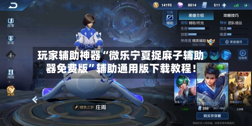 玩家辅助神器“微乐宁夏捉麻子辅助器免费版	”辅助通用版下载教程！-第2张图片