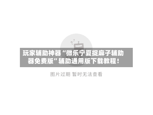 玩家辅助神器“微乐宁夏捉麻子辅助器免费版”辅助通用版下载教程！