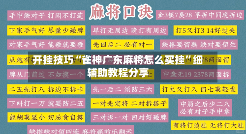 开挂技巧“雀神广东麻将怎么买挂”细辅助教程分享-第2张图片