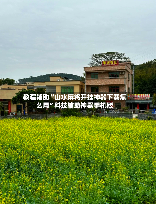 教程辅助“山水麻将开挂神器下载怎么用”科技辅助神器手机版-第2张图片