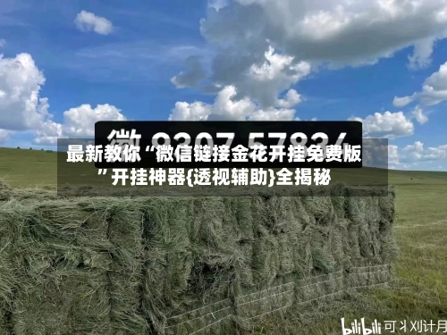 最新教你“微信链接金花开挂免费版	”开挂神器{透视辅助}全揭秘-第2张图片