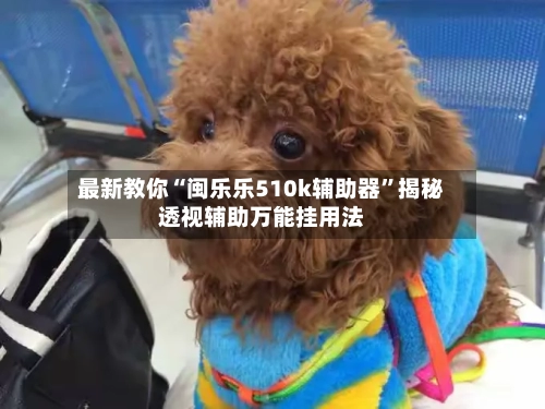 最新教你“闽乐乐510k辅助器”揭秘透视辅助万能挂用法-第2张图片