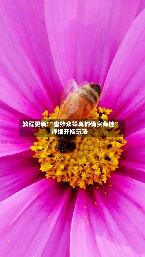 教程更新!“蜜蜂众娱真的确实有挂”详细开挂玩法