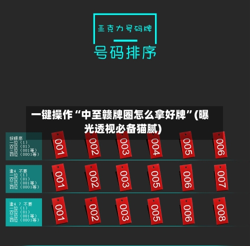 一键操作“中至赣牌圈怎么拿好牌”(曝光透视必备猫腻)-第3张图片