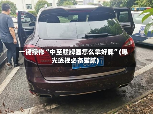 一键操作“中至赣牌圈怎么拿好牌”(曝光透视必备猫腻)-第2张图片