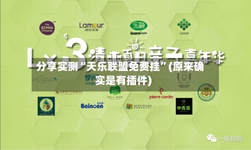 分享实测“天乐联盟免费挂”(原来确实是有插件)-第3张图片