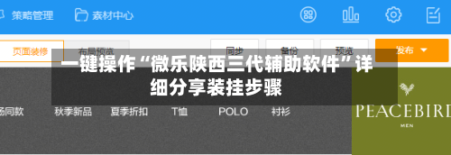 一键操作“微乐陕西三代辅助软件”详细分享装挂步骤-第3张图片