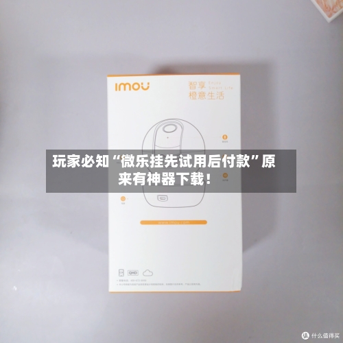 玩家必知“微乐挂先试用后付款”原来有神器下载！