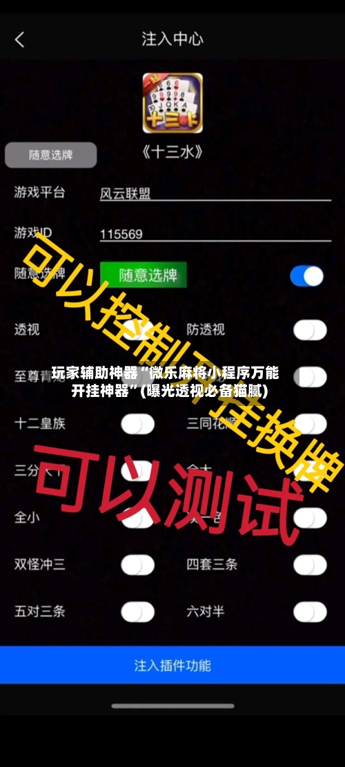 玩家辅助神器“微乐麻将小程序万能开挂神器”(曝光透视必备猫腻)-第2张图片