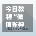 今日教程“微信雀神广东麻将开挂神器”科技辅助神器手机版教程-第2张图片