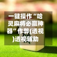 一键操作“哈灵麻将必赢神器”作弊(透视)透视辅助-第2张图片