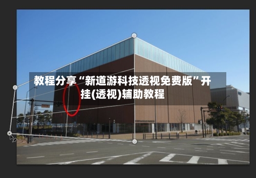 教程分享“新道游科技透视免费版”开挂(透视)辅助教程-第3张图片