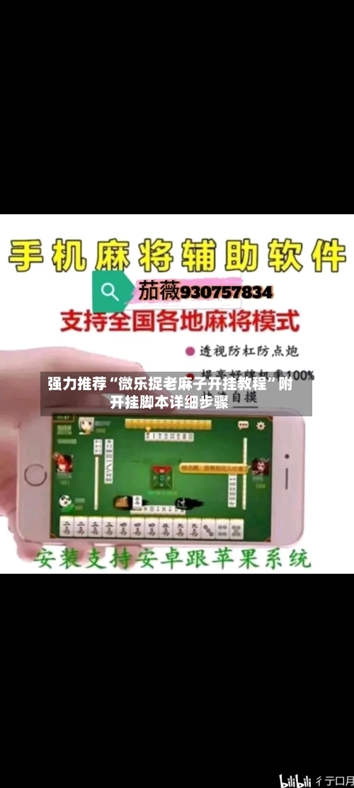 强力推荐“微乐捉老麻子开挂教程”附开挂脚本详细步骤-第3张图片