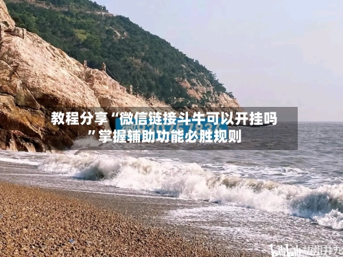 教程分享“微信链接斗牛可以开挂吗”掌握辅助功能必胜规则-第3张图片