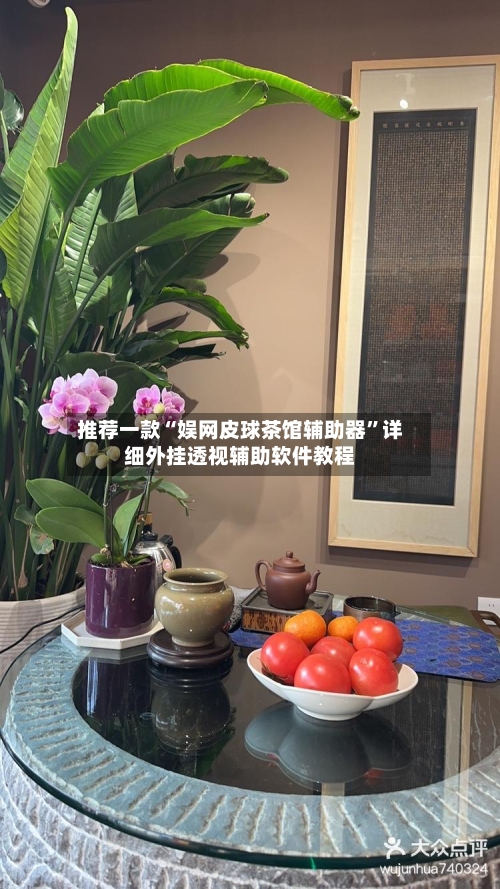 推荐一款“娱网皮球茶馆辅助器”详细外挂透视辅助软件教程-第3张图片