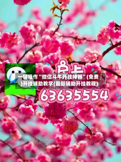 一键操作“微信斗牛开挂神器”(免费)开挂辅助教学(最新辅助开挂教程)-第3张图片