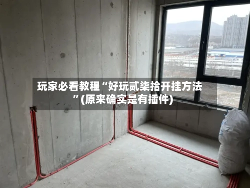玩家必看教程“好玩贰柒拾开挂方法	”(原来确实是有插件)-第2张图片