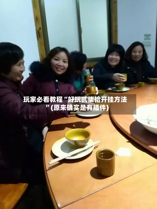 玩家必看教程“好玩贰柒拾开挂方法”(原来确实是有插件)-第3张图片