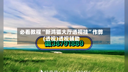 必看教程“新鸿狐大厅透视挂”作弊(透视)透视辅助-第2张图片