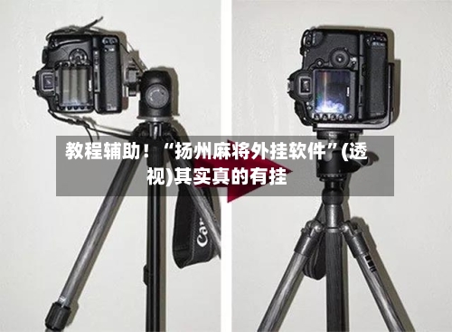 教程辅助！“扬州麻将外挂软件”(透视)其实真的有挂-第2张图片