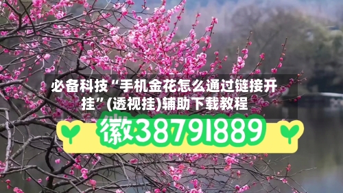 必备科技“手机金花怎么通过链接开挂	”(透视挂)辅助下载教程-第2张图片