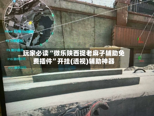 玩家必读“微乐陕西捉老麻子辅助免费插件”开挂(透视)辅助神器