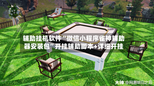 辅助挂机软件“微信小程序雀神辅助器安装包”开挂辅助脚本+详细开挂-第2张图片