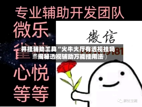 开挂辅助工具“火牛大厅有透视挂吗	”揭秘透视辅助万能挂用法-第2张图片