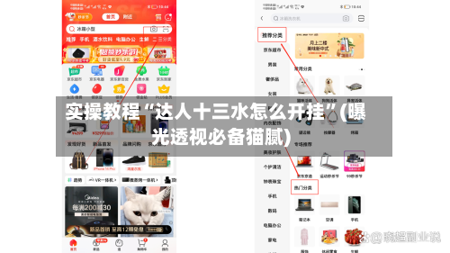 实操教程“达人十三水怎么开挂”(曝光透视必备猫腻)-第2张图片