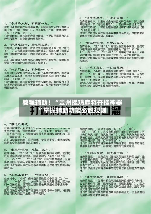 教程辅助！“贵州捉鸡麻将开挂神器”掌握辅助功能必胜规则-第3张图片