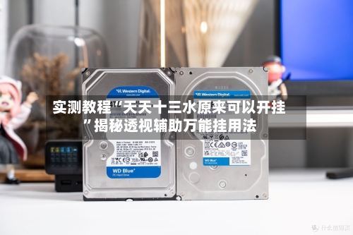 实测教程“天天十三水原来可以开挂	”揭秘透视辅助万能挂用法-第3张图片