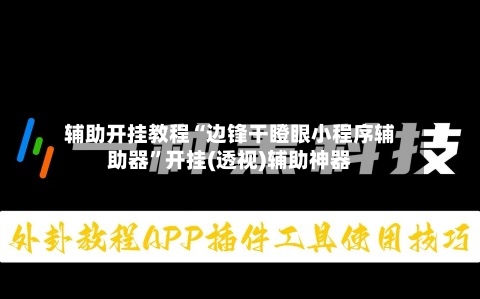 辅助开挂教程“边锋干瞪眼小程序辅助器”开挂(透视)辅助神器-第2张图片