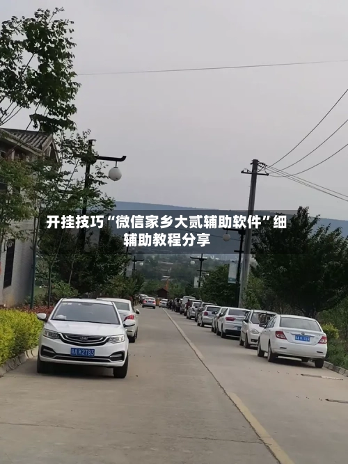 开挂技巧“微信家乡大贰辅助软件”细辅助教程分享-第3张图片
