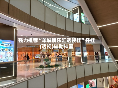 强力推荐“羊城牌乐汇透视挂”开挂(透视)辅助神器-第3张图片