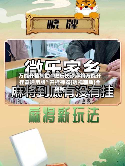 万能开挂辅助“微乐长沙麻将万能开挂器通用版”开挂神器{透视辅助}全揭秘-第3张图片
