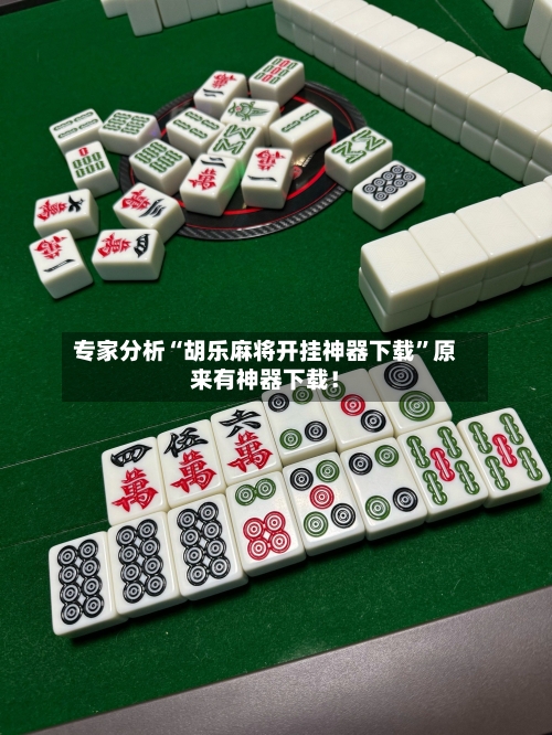 专家分析“胡乐麻将开挂神器下载	”原来有神器下载！-第2张图片