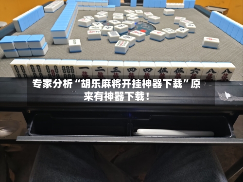 专家分析“胡乐麻将开挂神器下载”原来有神器下载！-第3张图片