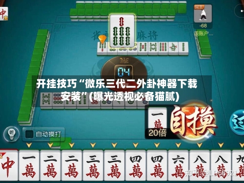 开挂技巧“微乐三代二外卦神器下载安装”(曝光透视必备猫腻)-第2张图片