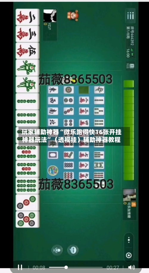 玩家辅助神器“微乐跑得快16张开挂神器玩法”（透视挂）辅助神器教程
