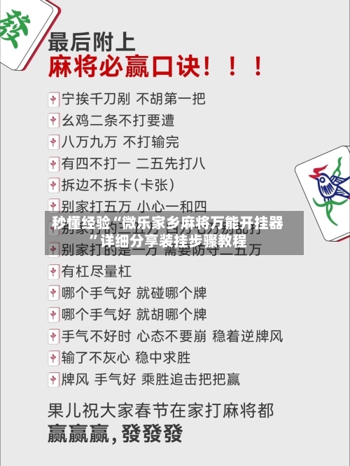 秒懂经验“微乐家乡麻将万能开挂器”详细分享装挂步骤教程-第3张图片