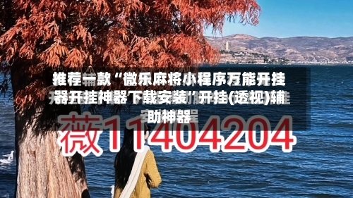 推荐一款“微乐麻将小程序万能开挂器开挂神器下载安装	”开挂(透视)辅助神器-第2张图片
